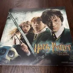 ハリー・ポッターと秘密の部屋 パンフレット