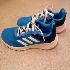 adidas青キッズスニーカー19cm