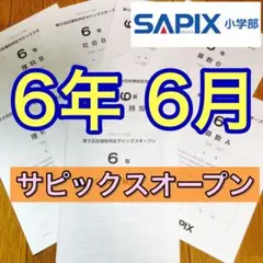 2025年最新】桜蔭オープンの人気アイテム - メルカリ