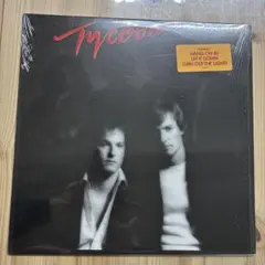 【傷なし美盤‼️】輸入盤LP TYCOON /TURN OUT THE LIGHT