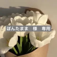 ぽんたまま　様　専用