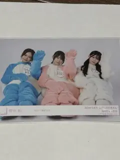 櫻坂46森田ひかる・山下瞳月・浅井恋乃未 見つけて櫻坂うさぎ - メルカリ