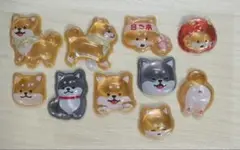 【正規品】 柴犬 和柄 ボンボンドロップシール おすそわけ セット