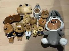 straykids スキズ ハン クオッカぬいぐるみ まとめ売り