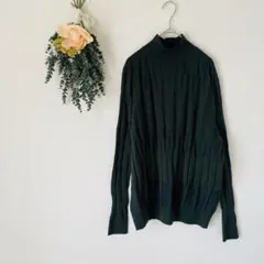 antiqua アンティカ ニット / ハイネック グリーン 立体柄編み