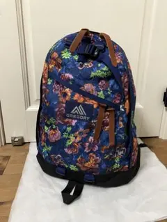 2025年最新】グレゴリー リュック ルミナスタペストリーの人気