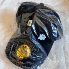 ぽこあポケモン EDION 購入特典 オリジナルキャップ