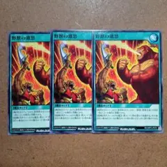 遊戯王RUSHDUEL　野獣の激怒　3枚　ノーマル