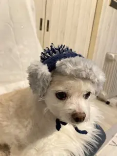 小型犬用 ネイビーとグレーのフライトハット、ボンボン付き