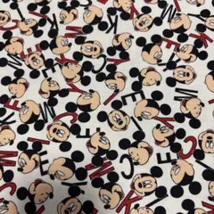 Item thumbnail for item 52ee3047-245f-4ecc-8355-8785d2f434f2