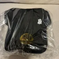 ぽこ あ ポケモン メタモン キャップ