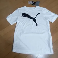 タグ付未使用　プーマ ACTIVE ビッグロゴ Tシャツ　ホワイトM