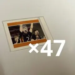 ハイキュー 菅原孝支 ゴミ捨て場の決戦 ぱしゃこれ パシャこれ