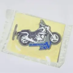 ◆Kawasak/カワサキ エリミネーター250V ラバーキーホルダー 新品のサムネイル