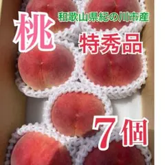 桃(日川)秀品　大玉6個 60サイズ箱入り　2箱 桃(日川)秀品 大玉6個 60サイズ箱入り - メルカリ