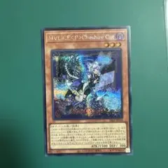 遊戯王 M∀LICE<P>Cheshire Cat ロゴ入りウルトラ - メルカリ
