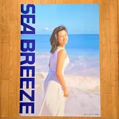 安室奈美恵 ポスター 「SEA BREEZE」販促用 - メルカリ