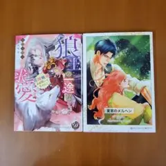 狼王の一途な求愛～花嫁候補とは聞いてません!&夏草のメルヘン アリスン／著