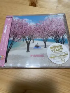 TUBE いまさらサーフサイド