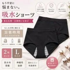 吸水ショーツ 2枚セット Lサイズ 防災グッズ　災害時用　生理　抗菌