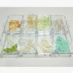 ハーバリウム用 プリザーブドフラワー 詰め合わせ ホワイト×グリーン系