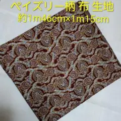 生地 布地 布 はぎれ ハギレ 端切れ オレンジ ペイズリー エスニック