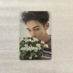 enhypen 宵　weverse特典　ニキ　メンバー別セルフィー yoi