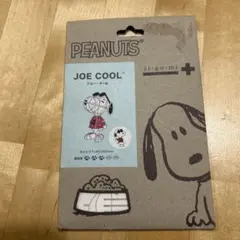 PEANUTS si-gu-mi 3Dパズル　スヌーピー