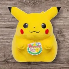 新品　ポケモン30周年記念おかえり!ピカチュウ1/1