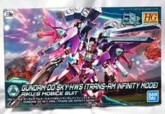 HG ガンダム00スカイ HWS トランザムインフィニティモード