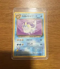 【旧裏】わるいシャワーズ