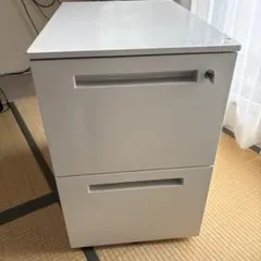 シーラーケース冷やし虫家 HI 100L - メルカリ