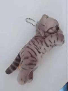 2026年最新】たっちぃZooにゃんこの人気アイテム - メルカリ