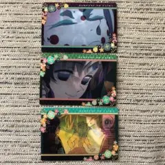 鬼滅の刃 名場面回顧カード チョコスナック2 義勇 しのぶ