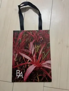 Item thumbnail for item 75d41ca8-a257-4a21-a09a-7e34d38bbda7