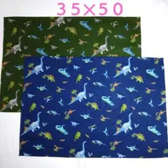 L025 ランチョンマット 2枚セット 35✕50 男の子 恐竜 大判