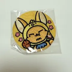 プルバトゥ　PPULBATU　刺繍缶バッジ　缶バッチ　ファンチュン　ヨンジュン