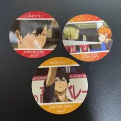ハイキュー!! トレカ 黒尾鉄朗 孤爪研磨 日向翔陽 影山飛雄 パシャこれ