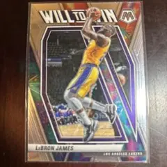 レブロンジェームズ＆A.デービス鑑定済みカードセット LeBron James レブロン・ジェームズ Silver Prizm NBA - メルカリ