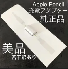 【純正品・美品(若干訳あり：裏面シール無)】アップルペンシル 充電アダプタ 1個
