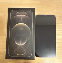 Apple iPhone 12 pro max SIMフリー 海外版 256GB