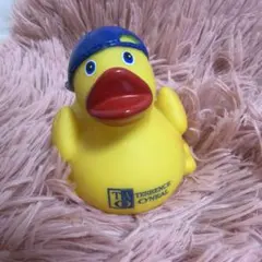 Item thumbnail for item 18483587-30b6-4f01-8b96-bc94c4fe2d8d