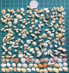 Item thumbnail for item 8ceccd45-7c62-4ea2-9e0f-9f60767bd19d