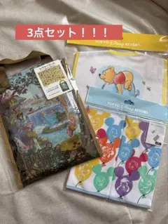 Fantasy Springs レジャーシート・プーさんスタイ・抱っこ紐カバー