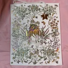 Dior ショップ袋 限定ショッパー　スターチャーム付き