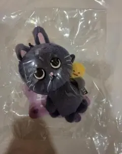 RIIZE PARK ウォンビン トニャンドク 8cm キーリング　公式　グッズ