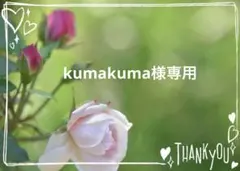 kumakuma様専用