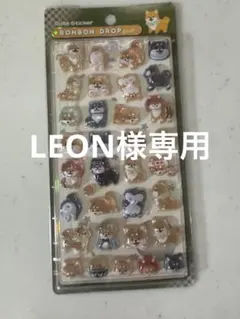 LEON様専用