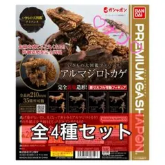 全4種セット　いきもの大図鑑アドバンス　アルマジロトカゲ　生き物　ガチャ