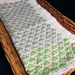 Item thumbnail for item 9c37e747-73cf-440e-a093-b26b15601505